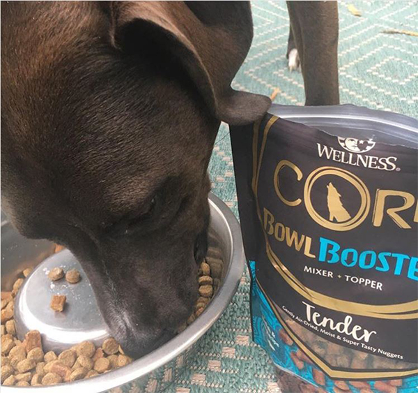 Dog enjoying CORE Bowl Boosters Tender