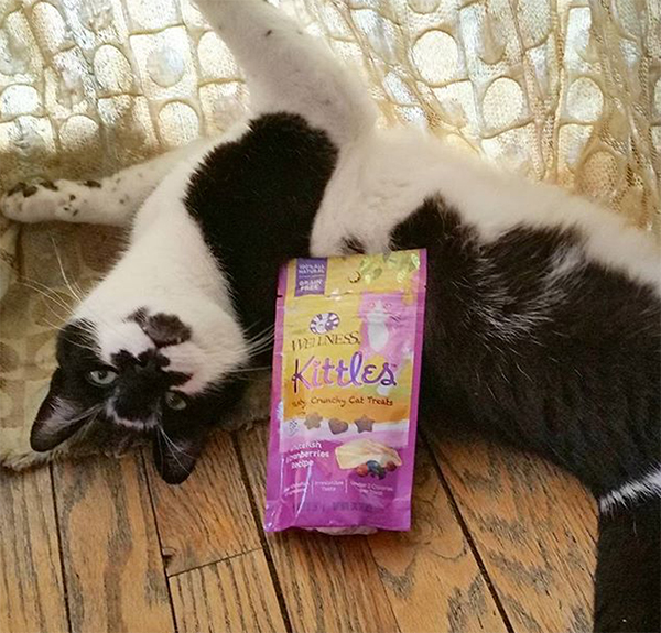 Wellness Kittles Cat Treats 7