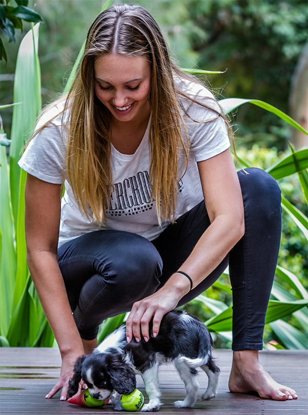 puppy playing with woman and toy 