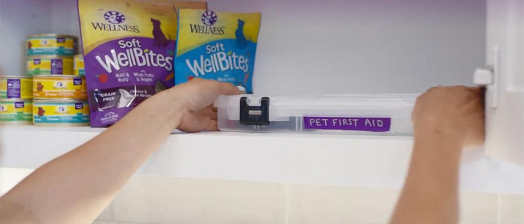 diy pet first aid kit blog cover photo