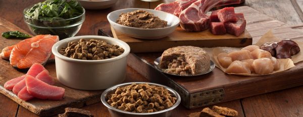 Healthy pet food Singapore