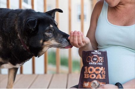 healthy pets