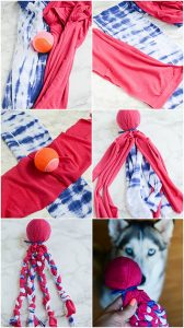 diy dog toy