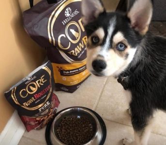 Wellness CORE RawRev Puppy