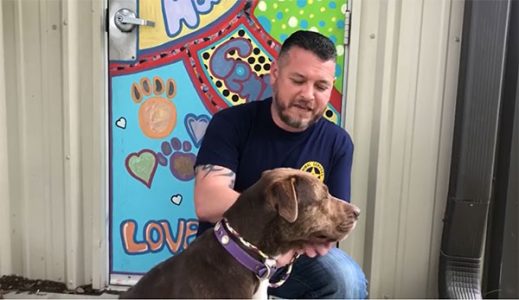 Fort Bend Animal Services