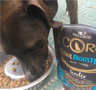 Dog enjoying CORE Bowl Boosters Tender 