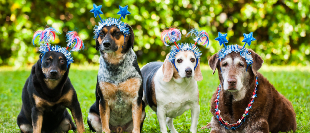pet safety 4th of july