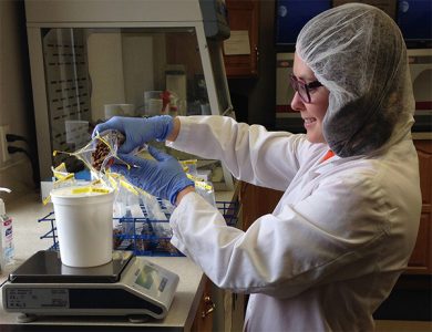 Wellness pet food formulation