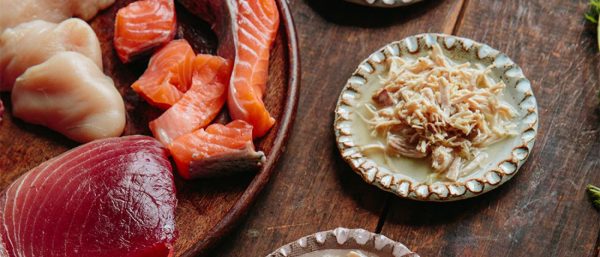 alternate protein options for dogs