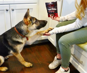 Wellness CORE Puppy Bites puppy treats