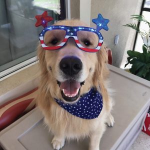 4th dog