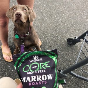 Wellness CORE Marrow Roasts Dog treats