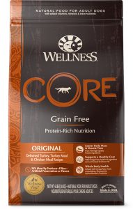 Wellness CORE dry dog