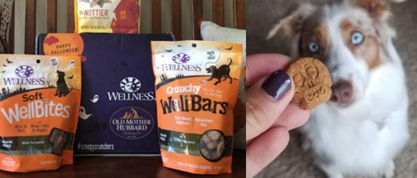 wellness halloween