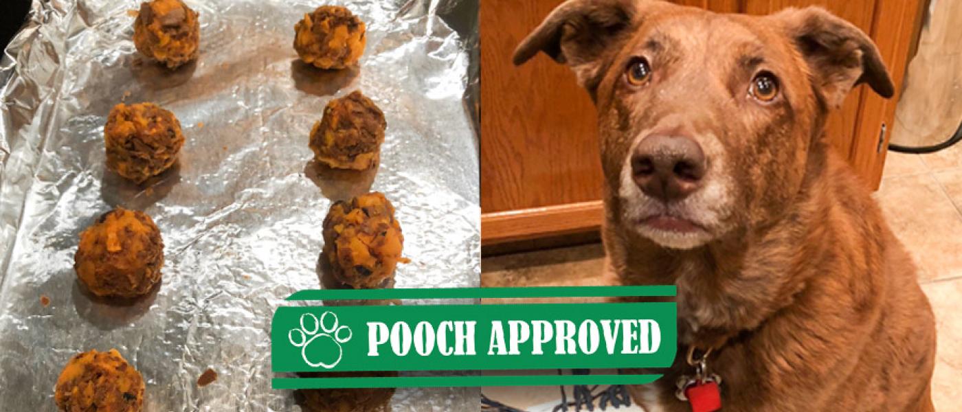 DIY Turkey Meatballs for Dogs Recipe Wellness Pet Food Taiwan