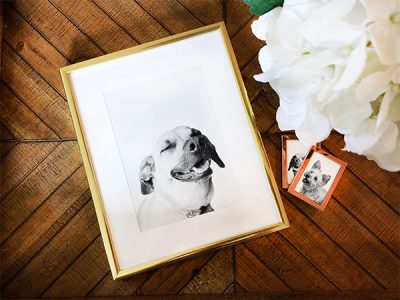 Perkie Prints