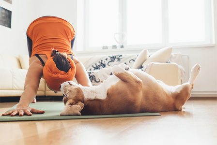 yoga with dog