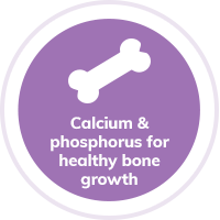 dog-calcium-phosphorus-bone-growth