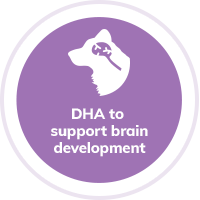 dog-DHA-Brain-Development